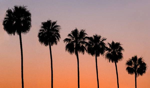 Scenic service overview